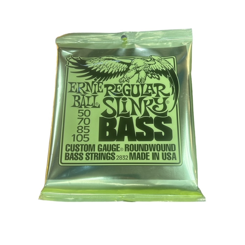 Product photo for ernie ball Regular Slinky Bass