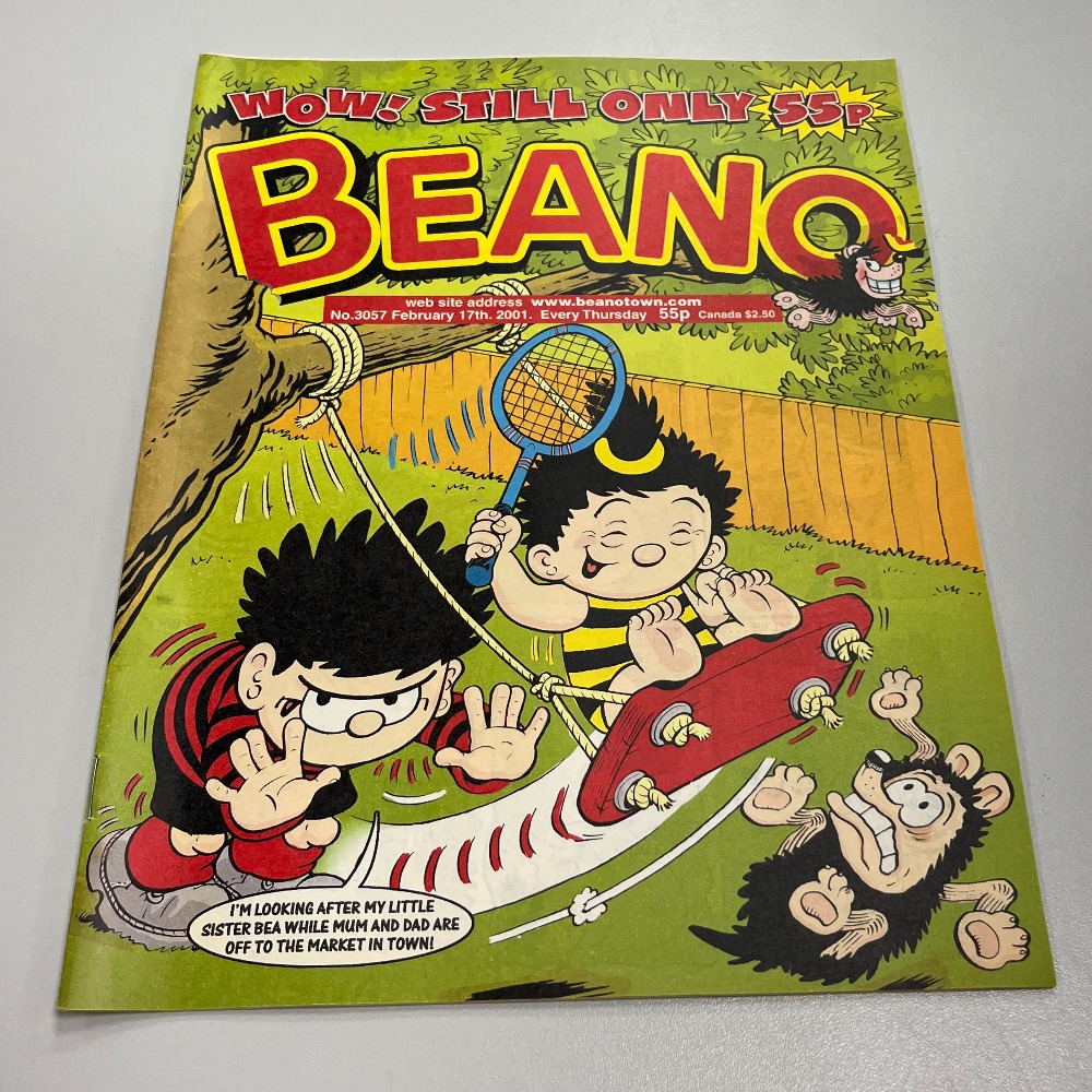 Product photo for The Beano