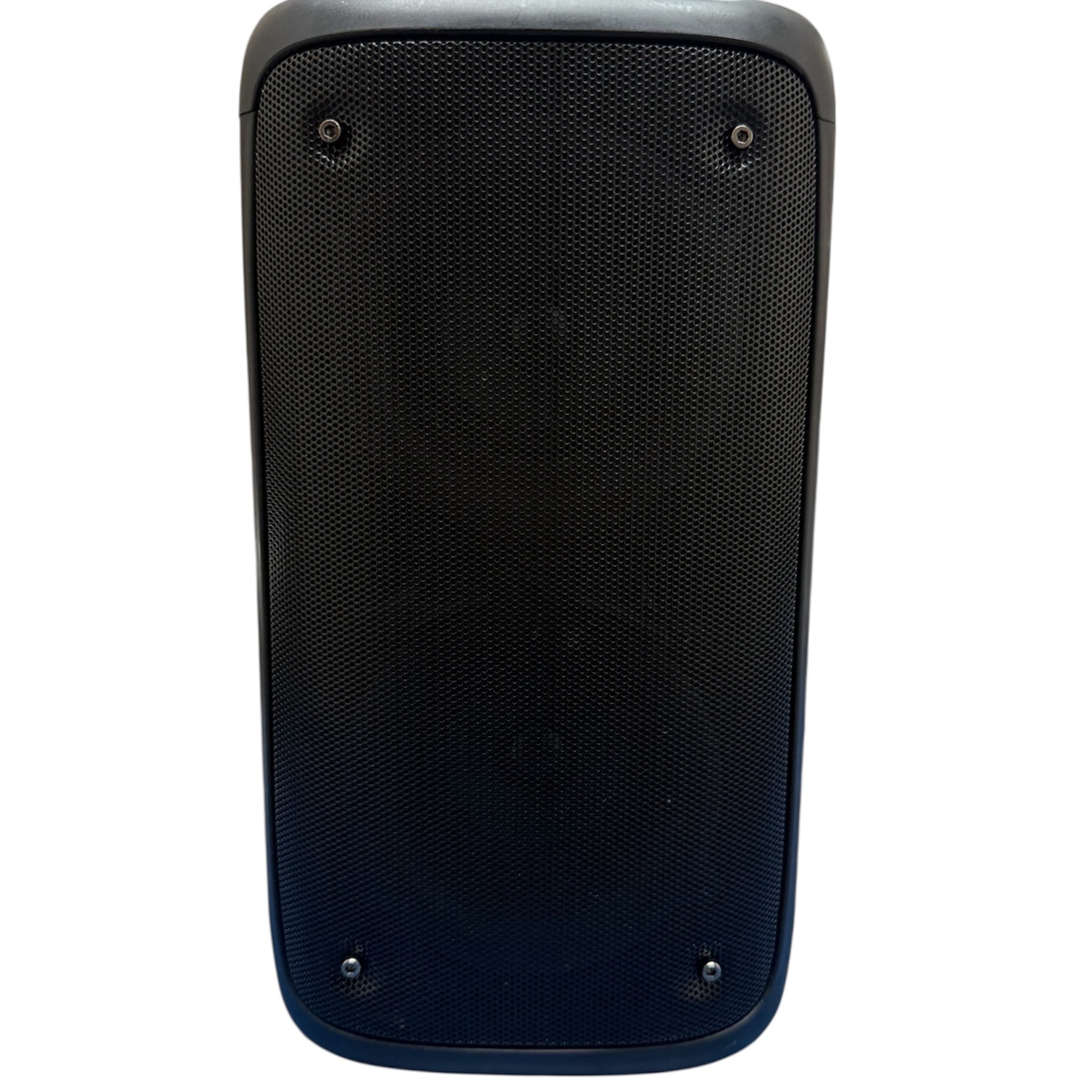 Product photo for LEO-250 Party speaker