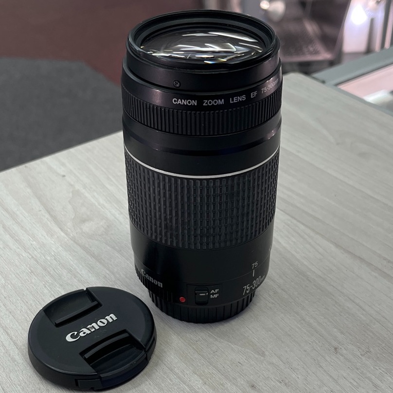 Product photo for Canon EF 75-300mm Lens