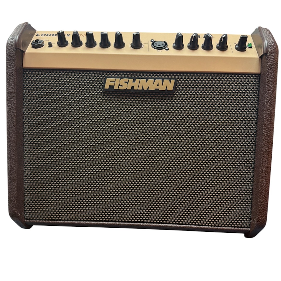 Product photo for LoudBox Mini Fishman 145w